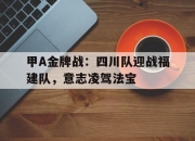 开云体育APP下载-甲A金牌战：四川队迎战福建队，意志凌驾法宝