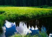 开云体育中国-天穹之下，当争冠之夜遇见无解的神迹