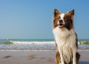 开云-东决焦点战，利物浦如何重写英超秩序，将曼城王朝推至悬崖边缘？