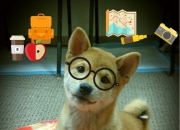 开云体育入口-绿茵与赛道，绝杀的双重奏—F1新赛季揭幕战与哥伦比亚的压哨狂欢