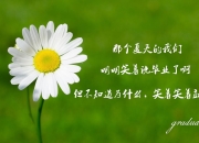 开云官网-蛰伏的黄蜂与迷失的凯尔特人，一场窒息十分钟书写的逆转史诗