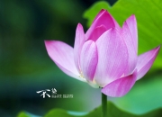 开云体育入口-跨界传奇，足球的坚韧与篮球的绝杀，诠释唯一性的两种维度