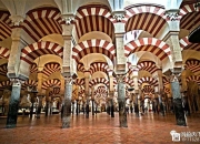 开云APP-科尔多瓦主教练指导队员，决胜战场的简单介绍