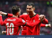 开云平台-关于葡萄牙面对波兰，备战全力求胜争夺胜利的信息