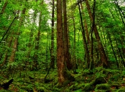 开云体育APP下载-绿茵场上的波斯风暴，伊朗史诗般逆袭，强势攻克马赛改写欧冠历史