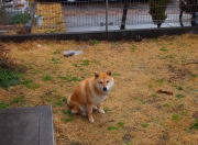 开云体育平台APP-绞索与舞步，当技术殖民的逆流吞噬旧帝国