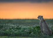 开云体育中国-失控与掌控，足球的暴烈平衡术