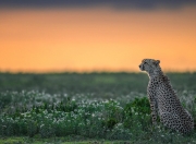 开云体育中国-失控与掌控，足球的暴烈平衡术