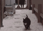 开云平台-绝境逆袭！小贾伦封神夜，灰熊压哨击溃独行侠