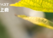 开云体育入口-加维封神夜！里昂2-1国际米兰夺队史首冠，诺坎普见证奇迹