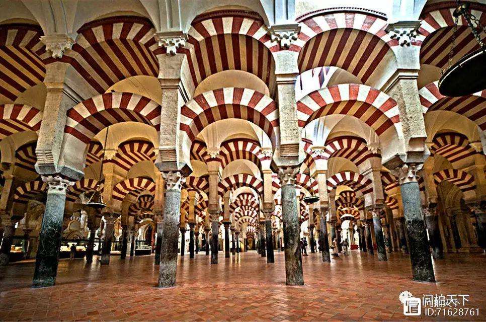 科尔多瓦主教练指导队员,决胜战场的简单介绍 科尔多瓦主教练指导队员,决胜战场的简单介绍