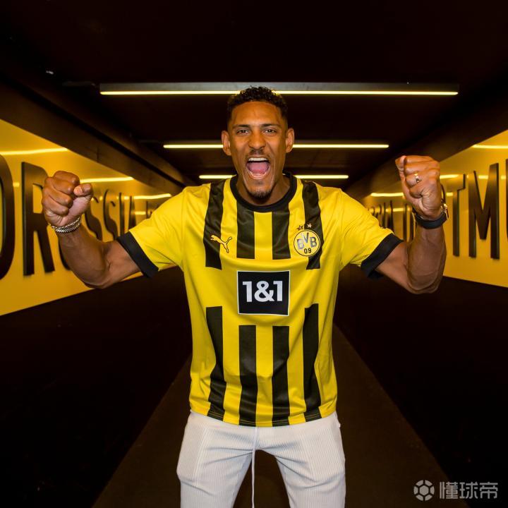 包含经验难以证明实力，贝尔格莱德红星努力追强的词条