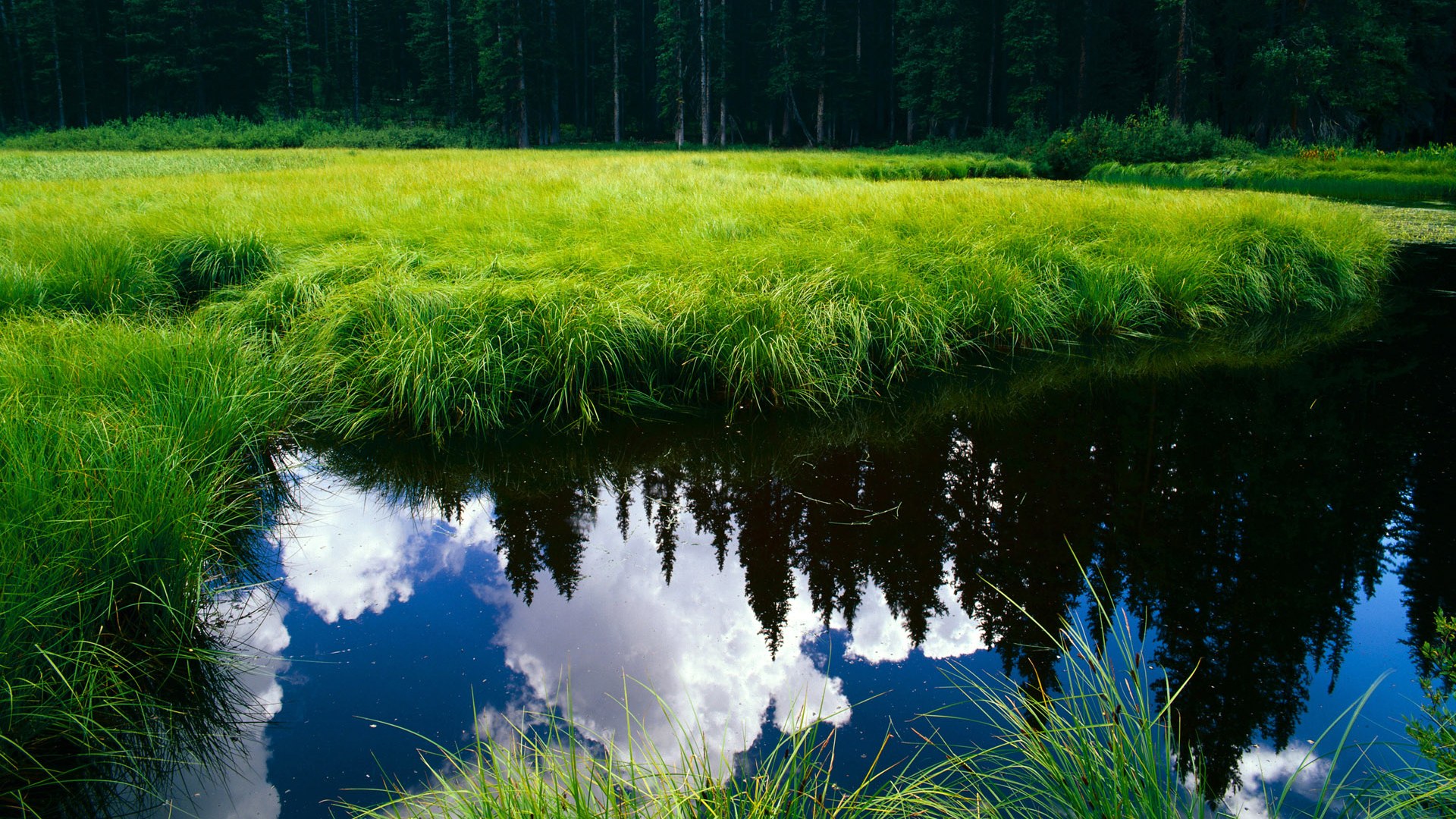 天穹之下，当争冠之夜遇见无解的神迹