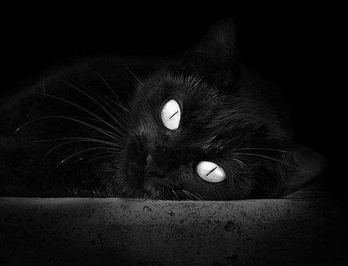 弗拉霍维奇惊世一击射落双星，莱比锡红牛对阵国际米兰的悬念提前消失