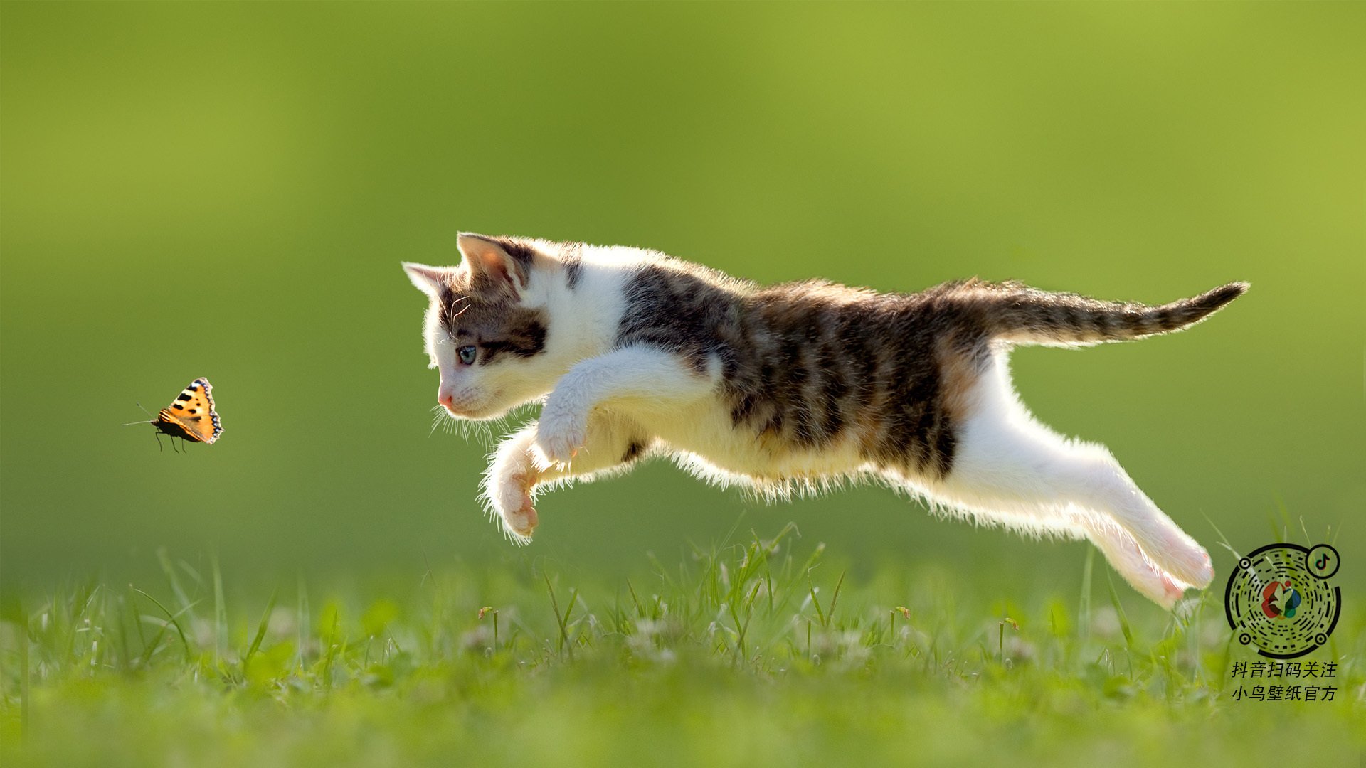 勇士王朝的钥匙,为何偏偏在克莱手中?记那场令凯尔特人心碎的完美演出