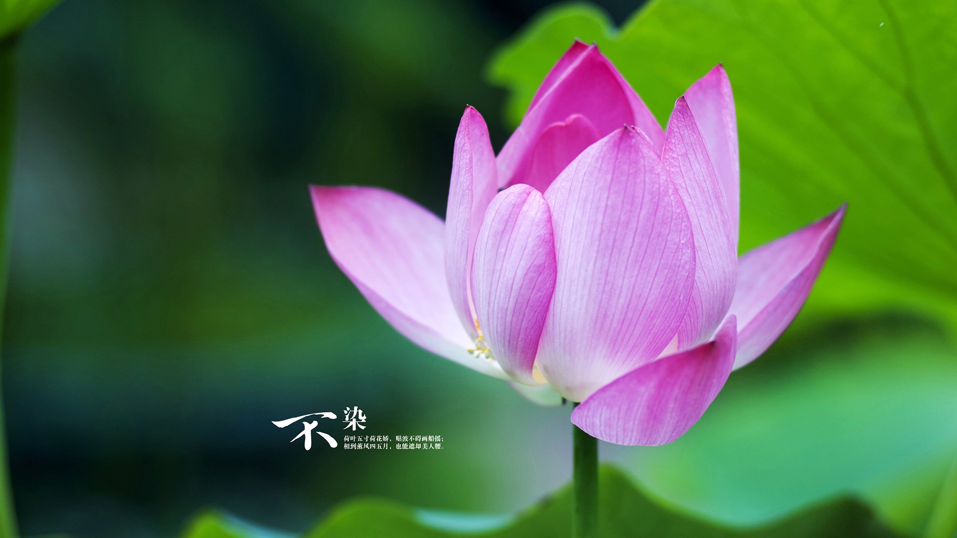 孤岛与灯塔，西决生死战之夜的欧文启示录