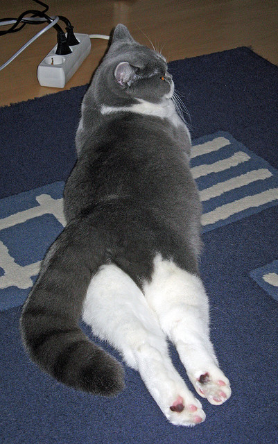 凤凰城的暗夜,布伦森冰与火之魂的救赎之路