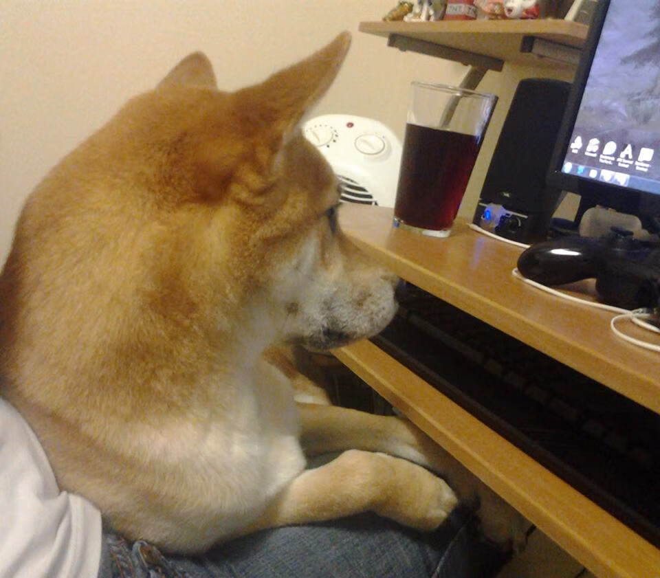 终极棋局,芬兰如何用冰封脉络战术破解东方密码?