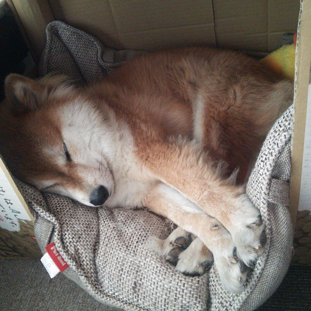 东瀛刺客与斗牛士之舞,久保建英防守端锁死莱万,巴萨旧将导演最后时刻绝杀波兰