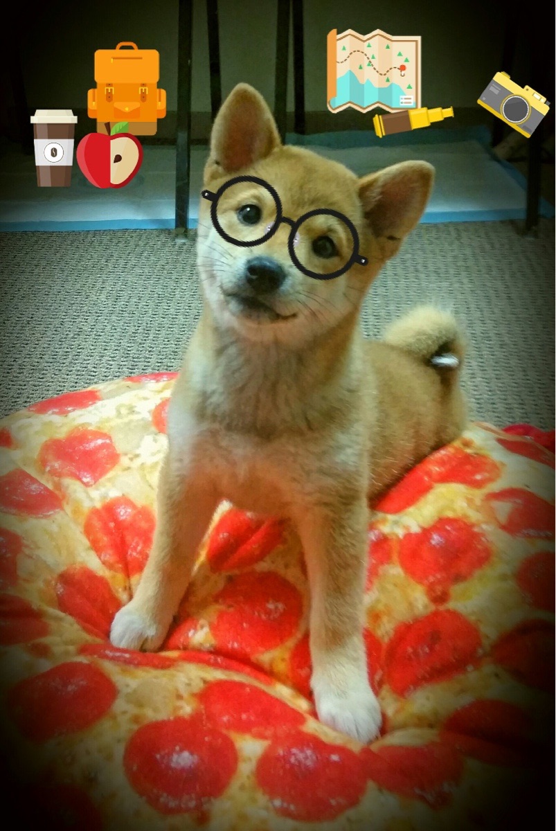 凯恩爆发演史诗逆转,南非压哨绝杀震动橄榄球世界