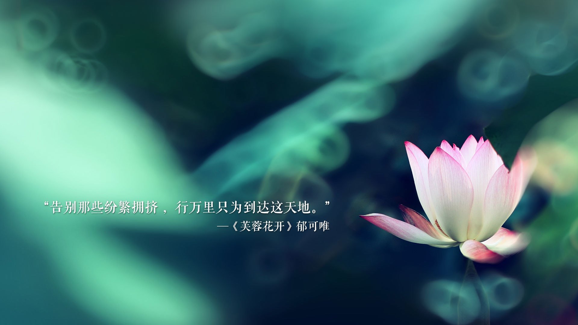 双星记，当加纳的钢铁意志窒息高卢雄鸡，努涅斯在诺坎普的废墟上加冕