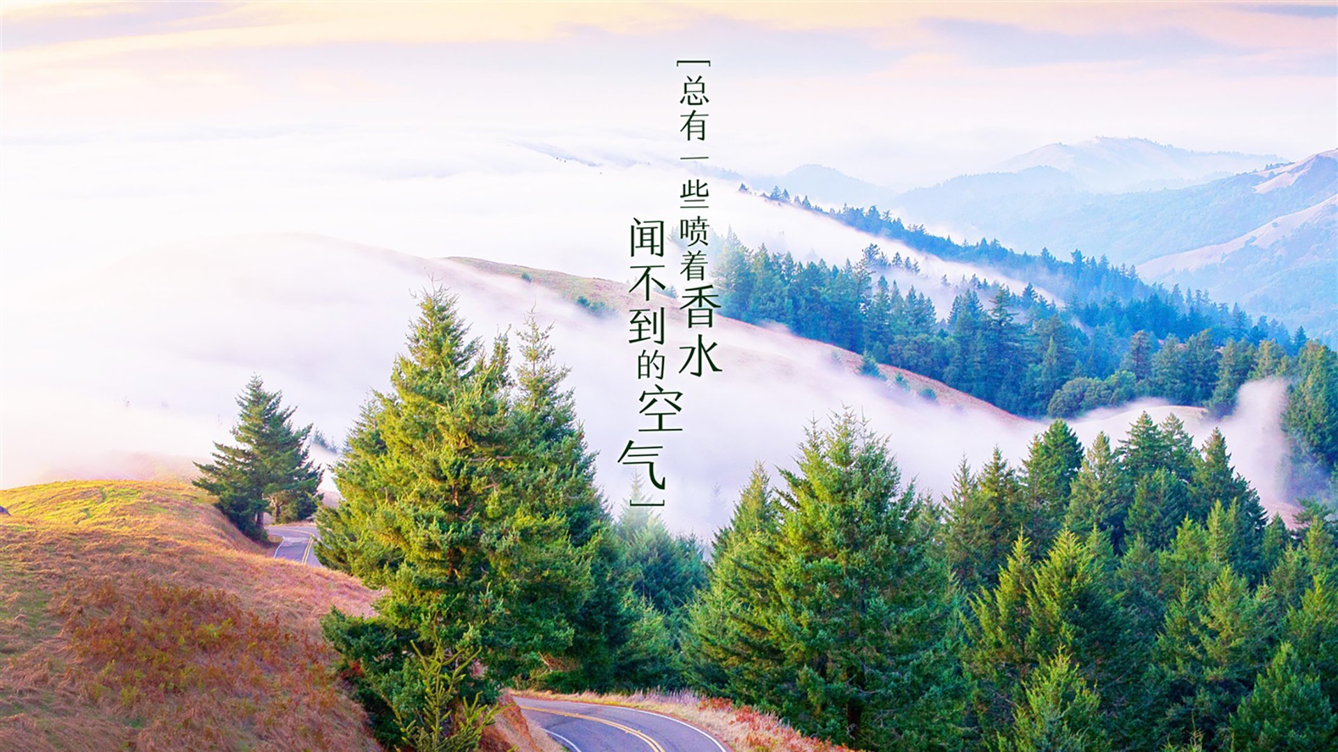 一瞬定乾坤,迪亚斯的致命一击,西班牙在美加墨世界杯的碾压式宣言